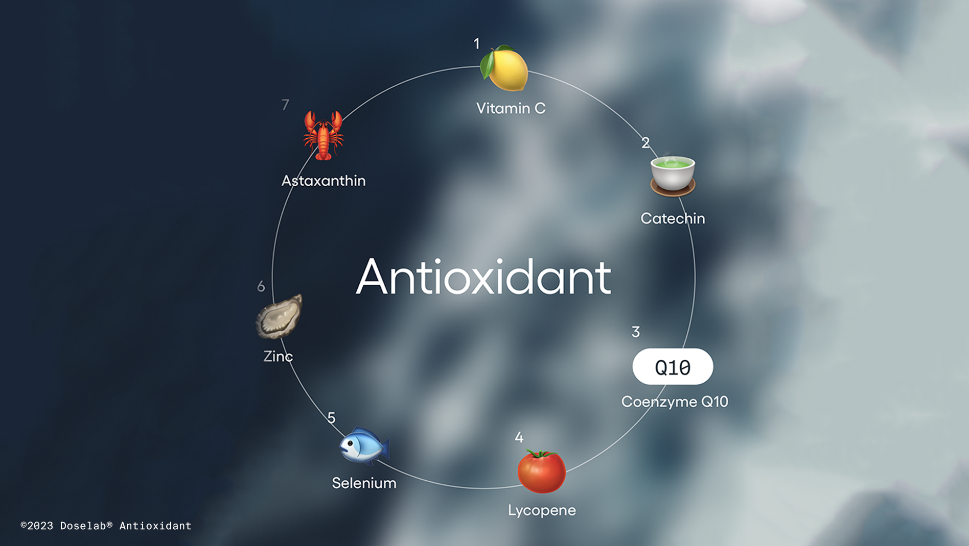 Antioxidant: 노화를 늦추는 항산화