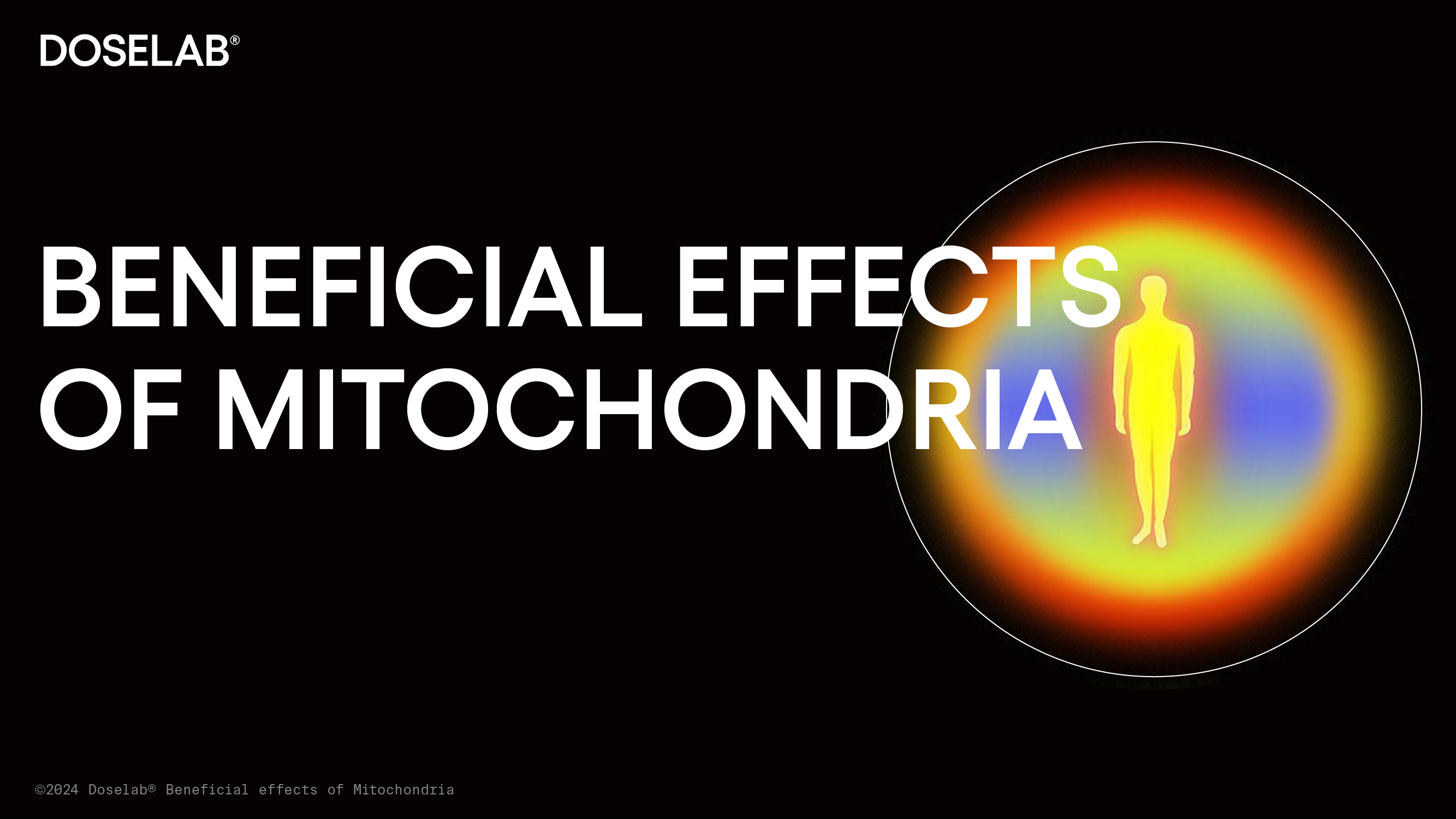 Beneficial effects of Mitochondria