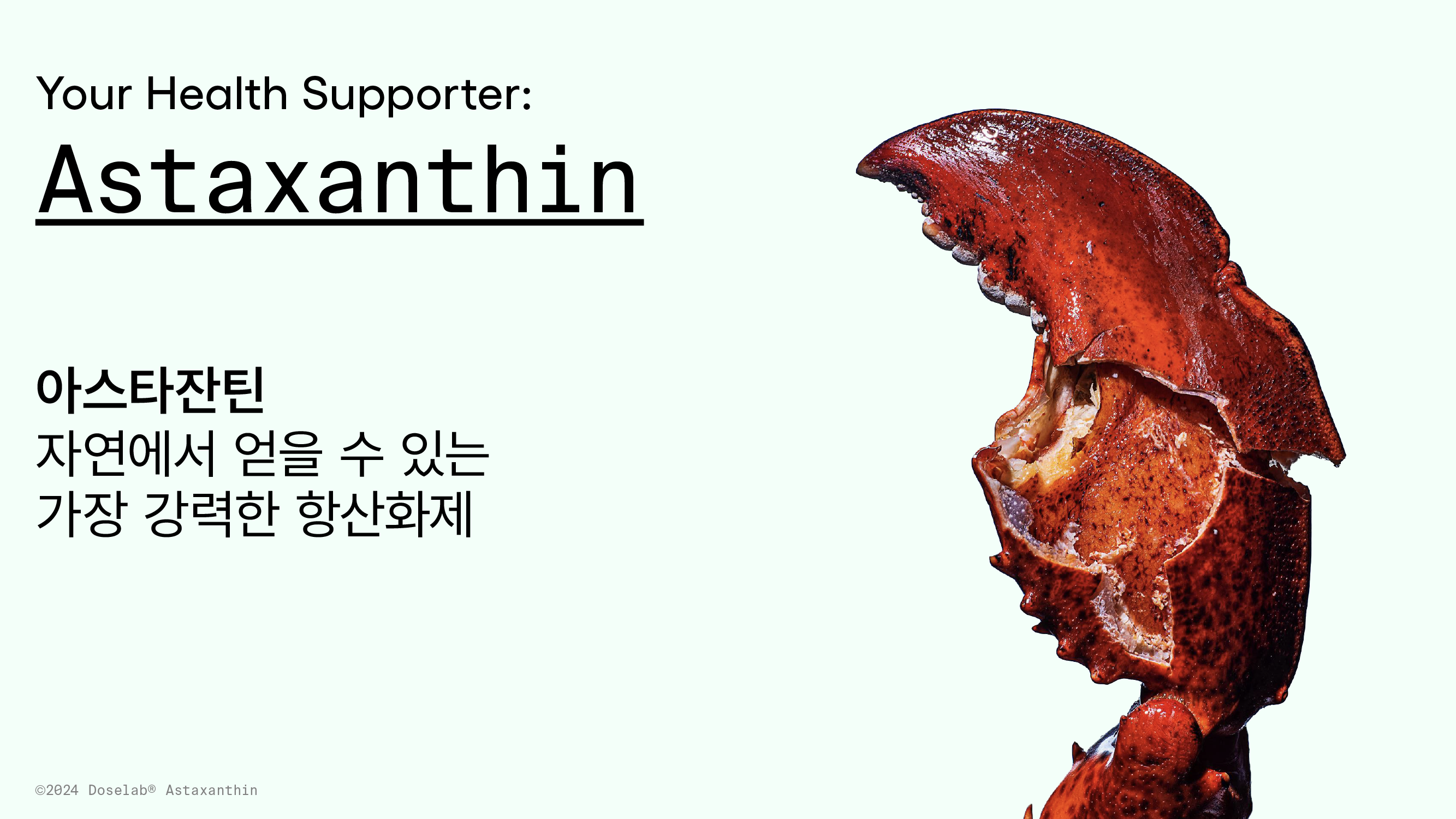 Your Health Supporter: Astaxanthin